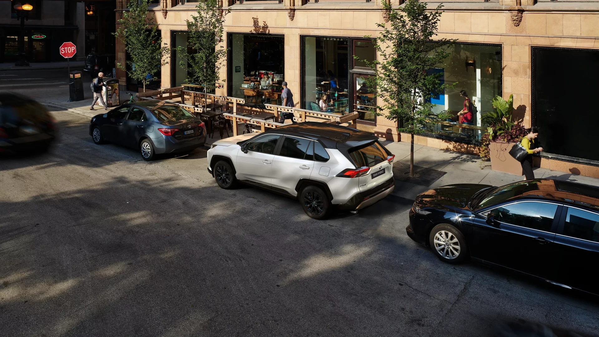 RAV0007a_24_Large-Landscape